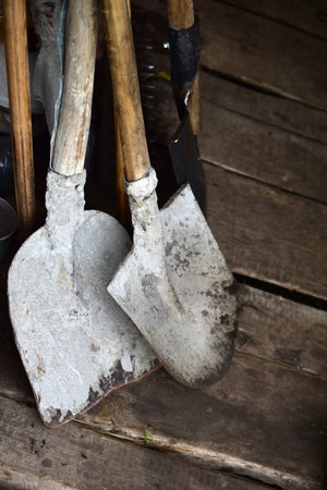 Garden tools iron shovels in the garage