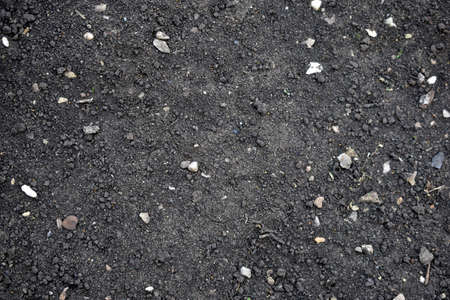 View of black fertile soil soil close up during the dayの写真素材