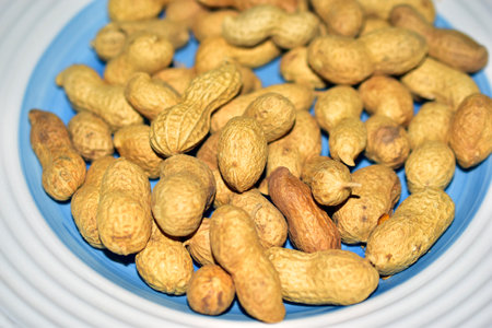 Yellow peanuts in a shell on a blue plateの写真素材