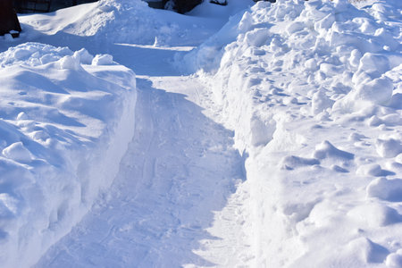Winter white snowy paths during the day