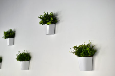 White decorative pots with greenery on a white wallの写真素材