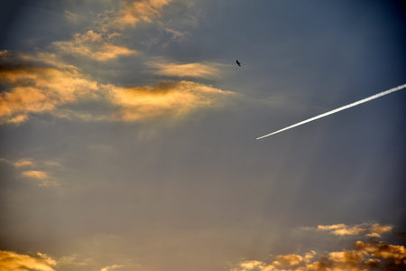 A distant plane flying across the blue sky