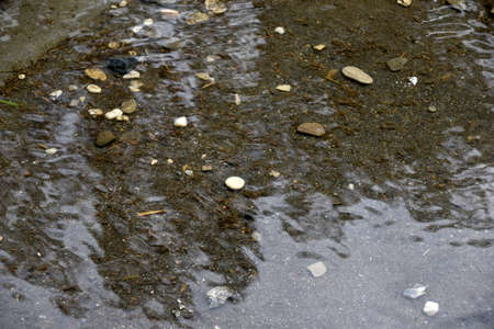 Round stones and cobblestones in the dark waterの写真素材
