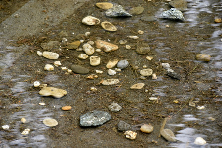 Round stones and cobblestones in the dark water