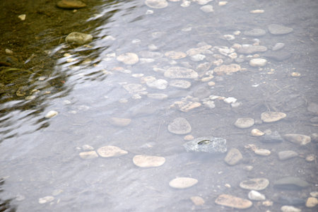 Round stones and cobblestones in the dark water
