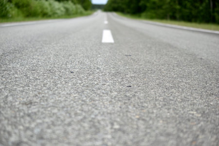 High-speed asphalt highway in the forest during the day