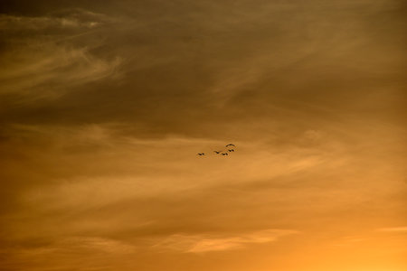 Sunset sky with clouds in the evening in summerの写真素材