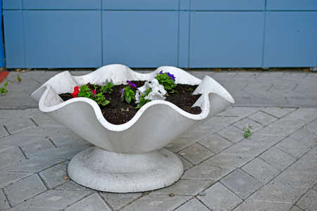 White flower beds with flowers in the cityの写真素材