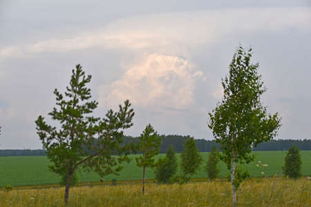 Thunderstorm landscape and cumulus clouds in the fieldの写真素材