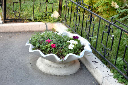 Orange flower bed with flowers in the city close-upの写真素材