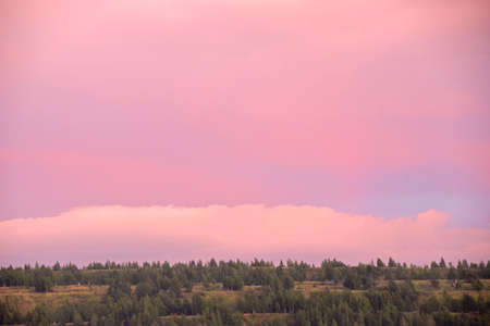 Sunset horizon with red clouds in the summer in the fieldの写真素材