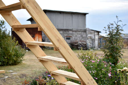 Wooden staircase at the garden house in flowersの写真素材