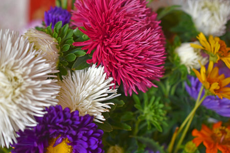 Colorful bouquet of garden flowers in the room