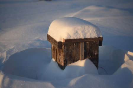 Wooden boxes for flowers under the snow in winterの写真素材