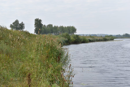 River and mountain with trees in the steppe field