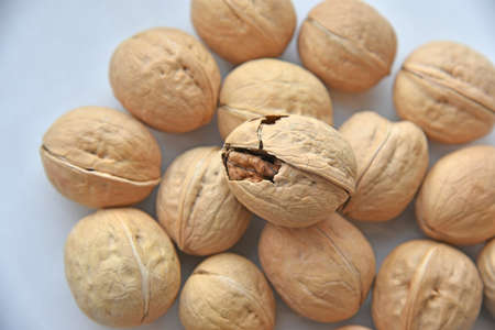 Walnuts in a shell on a white backgroundの写真素材