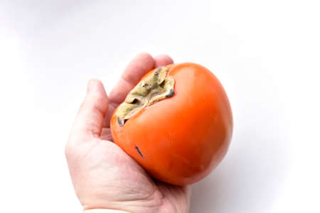 Ripe persimmon on a white backgroundの写真素材