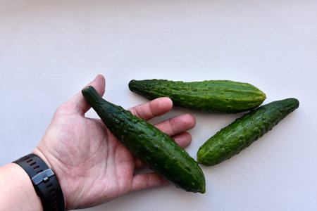 Three green fresh cucumbers on a white background