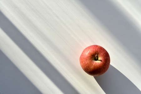 A red and yellow apple in the shadows on the windowsillの写真素材