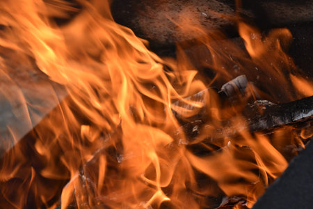 Blazing firewood in the fire coals