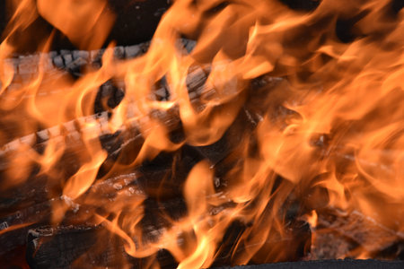 Blazing firewood in the fire coals