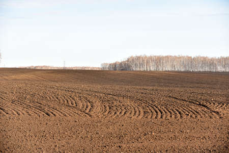 Spring arable field in the village and the horizonの写真素材