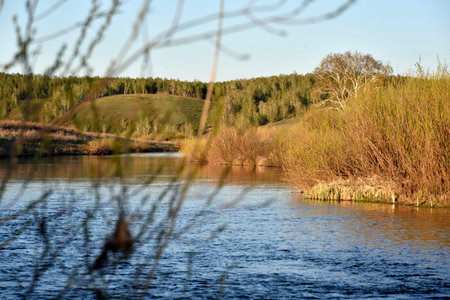 River in spring among reeds and mountainous terrain