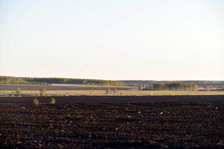 Arable field in the village in spring and forest