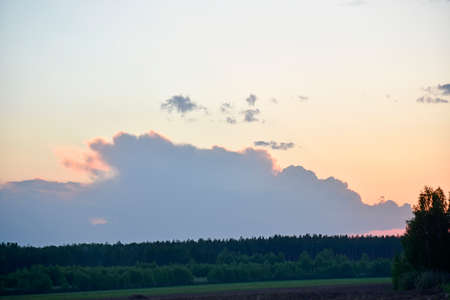 Evening forest horizon with thundery pink cloudsの写真素材