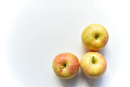 Yellow-red apples on a white backgroundの写真素材