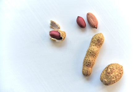 Peanuts in a shell on a white background