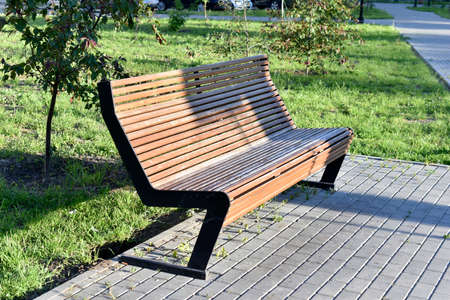 A large wooden bench in the city park in summerの写真素材