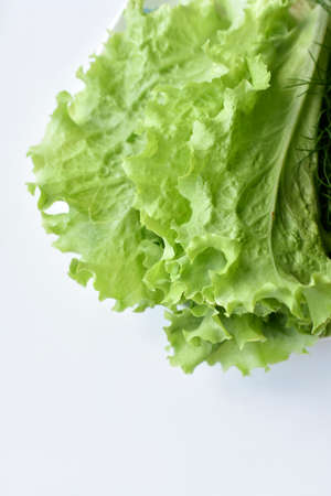 Green bunch of fresh lettuce on a white background. Vegetarian food. nature background.の写真素材