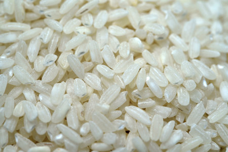 White rice close-up. Rice grains as a background. dry rice.の写真素材