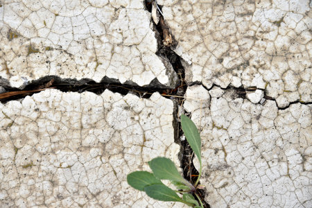 Cracks in the ground caused by drought, Global worming effectの写真素材