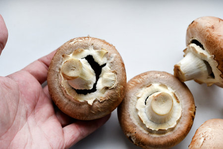 Mushrooms on a white background. Edible mushrooms from the store. beautiful mushrooms.の写真素材