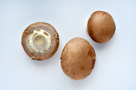 Mushrooms on a white background. Edible mushrooms from the store. beautiful mushrooms.の写真素材