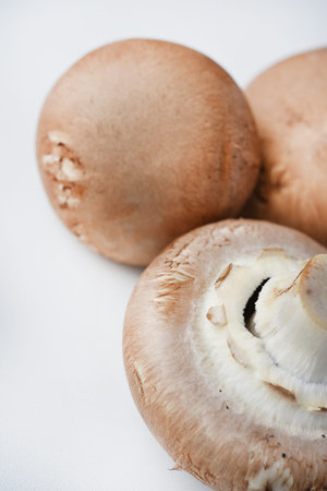 Mushrooms on a white background. Edible mushrooms from the store. beautiful mushrooms.