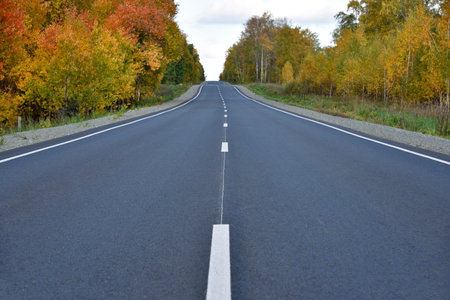 Beautiful autumn asphalt road through the forest. Highway is a road in a beautiful countryside.