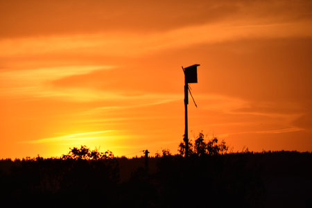 A beautiful sunset and a birdhouse on the horizon background. Rural landscape.