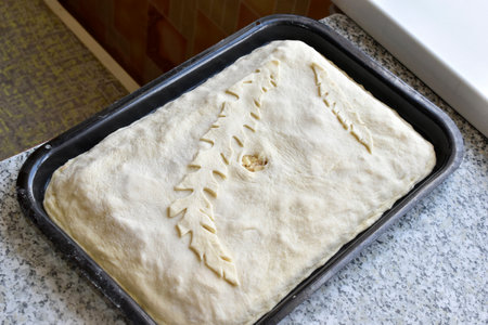 A closed pastry pie. Filling for meat and potato pie.の写真素材