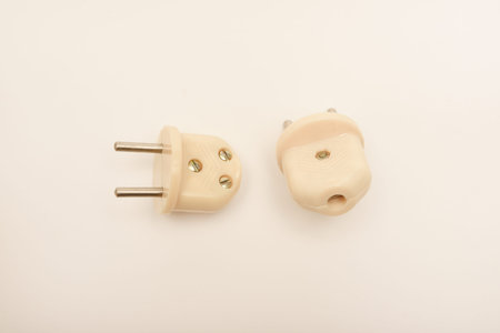 The plug is an electric rarity.