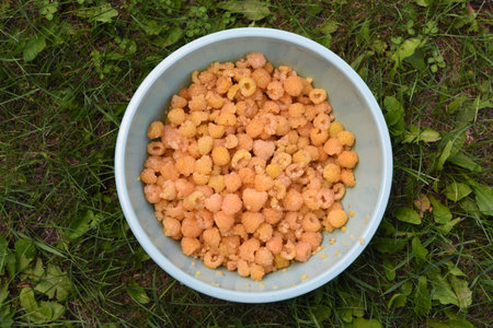Yellow raspberries in a bowl. Juicy sweet yellow berries.