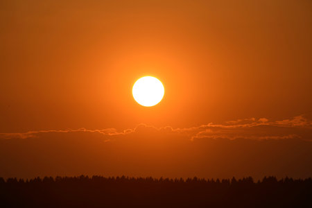 The setting sun in summer. The sun circle and the forest on the horizon. The sun goes behind a cloud in the evening.の写真素材