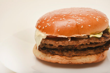 Hamburger with meat and vegetables. Fast food. Hamburger on a plate.の写真素材