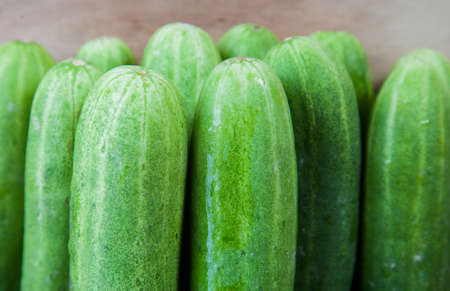 vertical cucumberの写真素材