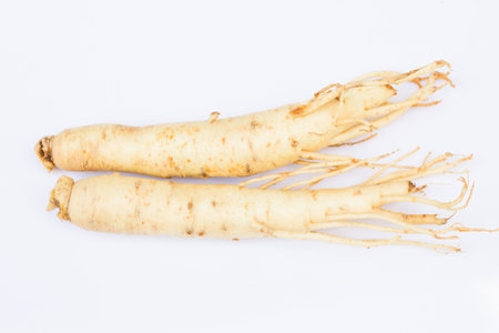 korean ginsengの写真素材