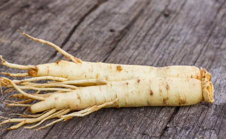 ginseng on the wood backgroundの写真素材