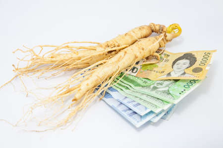ginseng with Korean moneyの写真素材