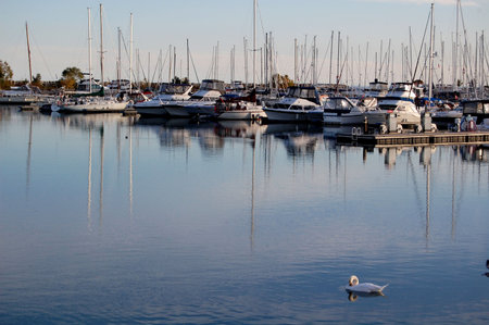 lake side の写真素材